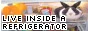 badge depicting a rabbit in a fridge saying LIVE IN YOUR REFRIGERATOR